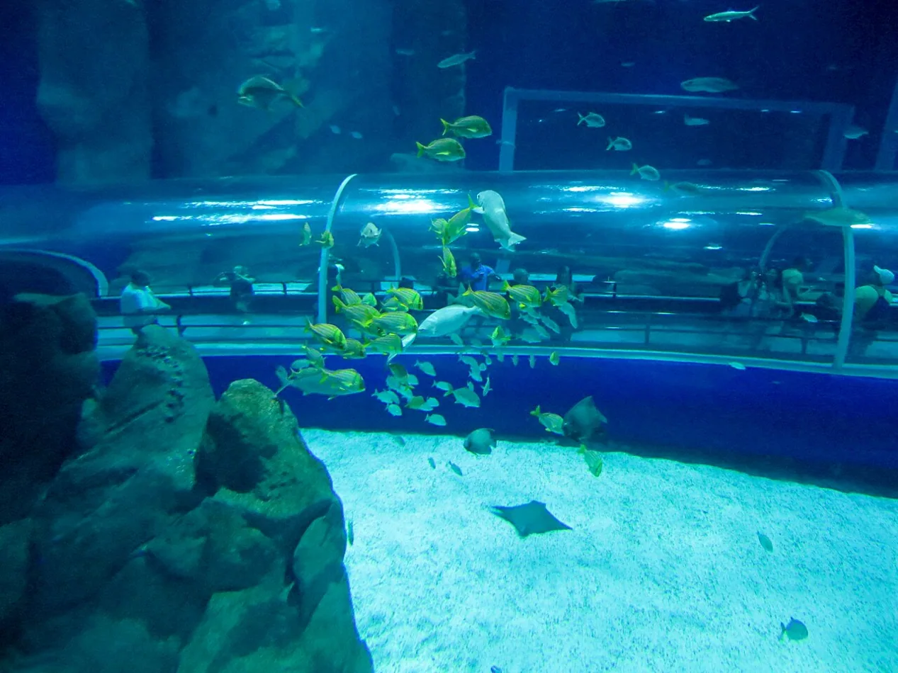 Interior de AquaRio, acuario marino de Río